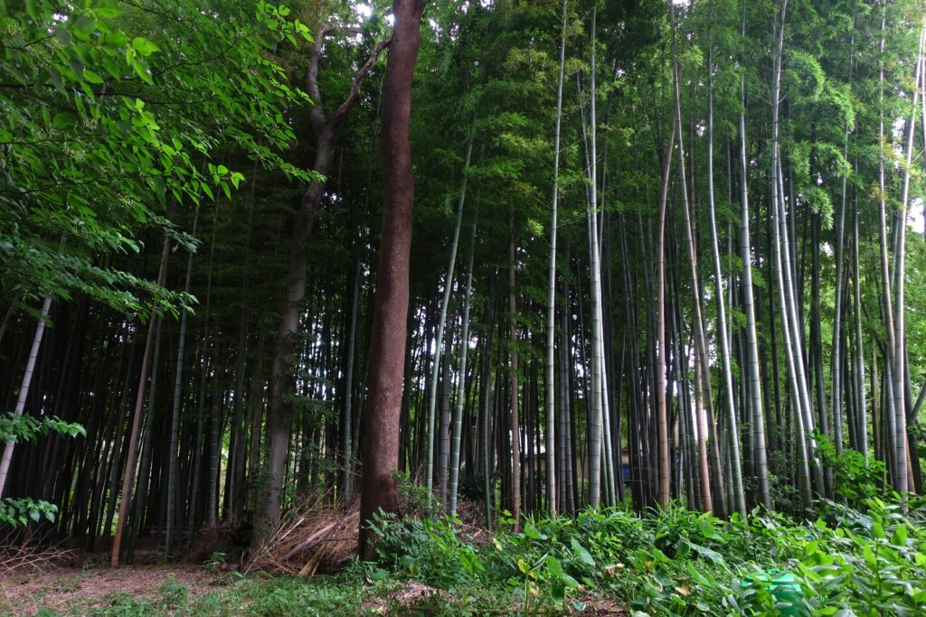 地鎮祭　家づくり　工務店